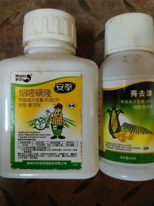 花生出苗后用哪种除草剂最有效