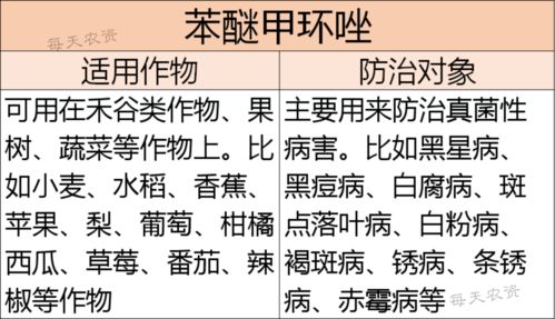 深入解析作用机制：药效的秘密