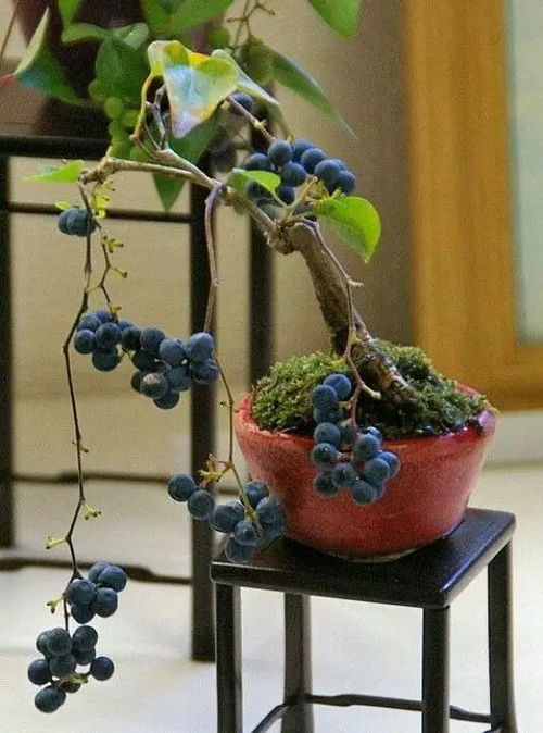 男人们注意了：这几种水果别乱吃