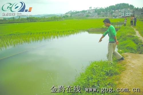 现在100亩鱼塘土地租金多少，一年能赚多少钱？