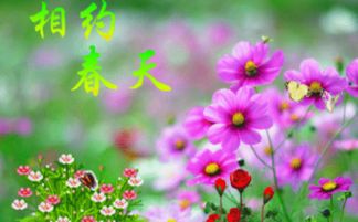 桃花在春天开，哪些花是春天最常见的