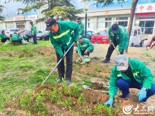 浇水过多， 苗木烂根的“罪魁祸首”