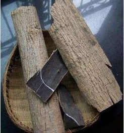 杜仲环剥促再生，剥皮养护技巧多