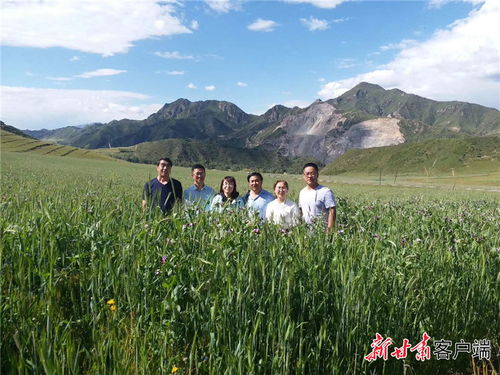 浙江农业大学的研究发现