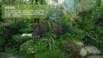 杂交版植物图鉴大全：自然与智慧的融合之艺