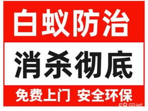 有口皆碑的杀虫加盟公司对技术人员业务素质hen注重