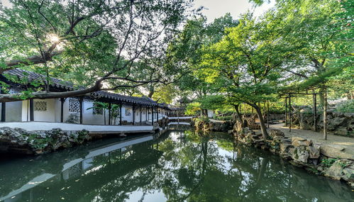 建筑先行，园林点缀