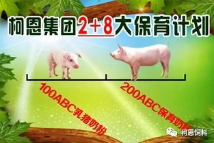 《探索最佳乳猪配合饲料——开口笑乳猪配合饲料介绍与特点解析》中，开口笑乳猪配合饲料的蛋白质含量对乳猪生长有何影响？