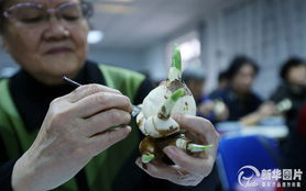 第一步：浸泡大法好