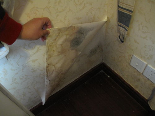 家里墙角发霉的秘密