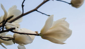 买种子要注意啥？