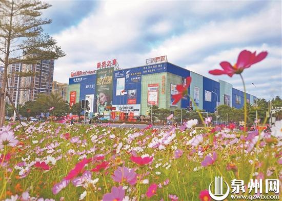 泉州洛江绿化改过大变样