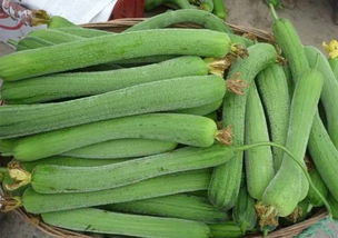 农药渗透疑云：丝瓜内部，农药的足迹？