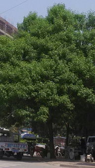 多方求证，谜底揭晓