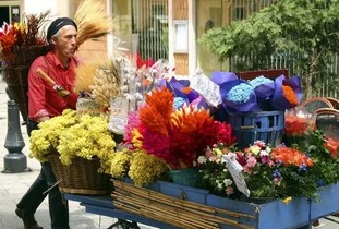 无锡新天地花卉市场位于江苏省无锡市锡山区麦德龙超市南面,是无锡地区蕞大花卉市场， 目前,以有30多家鲜花生产、销售厂家进驻新天地花卉市场...