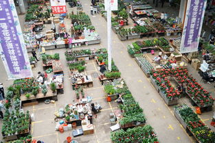 昆明路#三五一一文化创意产业园：新宠