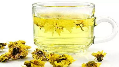 西洋参菊花茶功效真有那么神奇吗？真相究竟如何