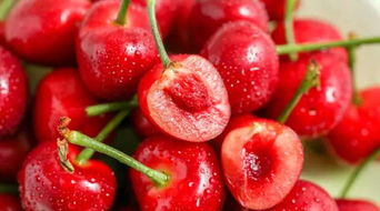 樱桃种子发芽的几种方法大揭秘