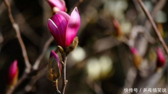 关键步骤划重点