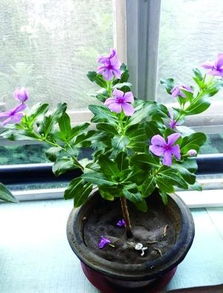 是不是跟它住的地方有关呢？