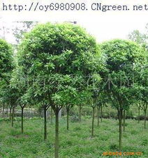 第四步：关注季节和地域差异