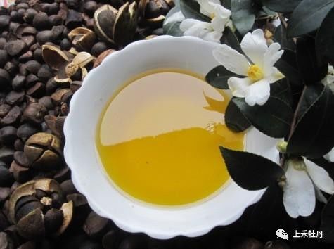 金浩茶油5升特惠，茶油饼收购就找这里！