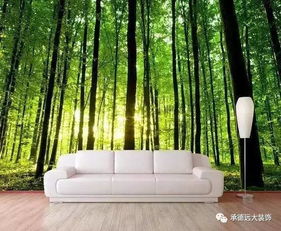 打造城市绿毯的宝藏地，你找到了吗？