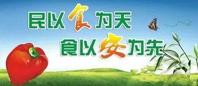 前言