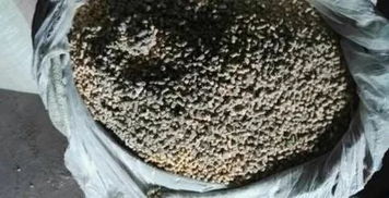 吉林省北泰饲料厂质量靠谱吗？有没有人了解这个厂家的真实情况？