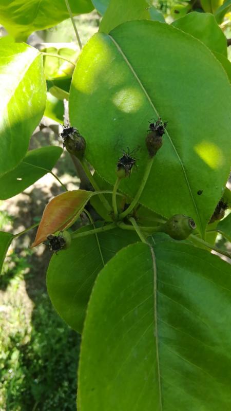 冻伤的迹象和挽救方法