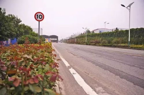 吉林长深高速的生态解决方案