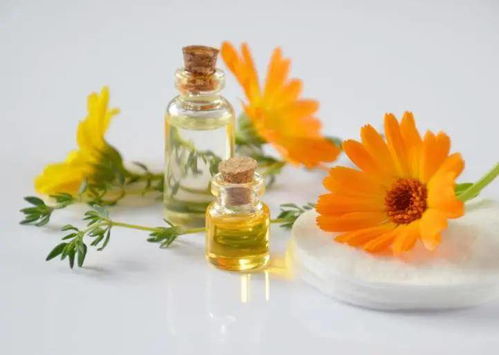 植物成分的护肤魔力