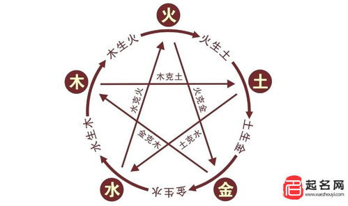 土蛇：稳重可靠的可靠伙伴