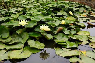 阴天也要注意，不Neng长时间不见光