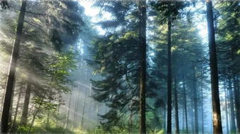 选择Java培训机构的方法