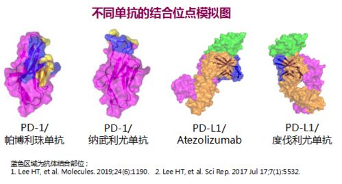 不同除草剂，不同效果