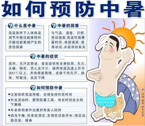 夏季高温多湿,羊只易中暑、腹泻