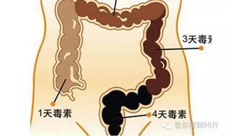 猪饲料呕吐毒素超标，危害肠道菌群平衡