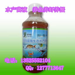 夏季高温，养鱼需注意水温、饲料和水质