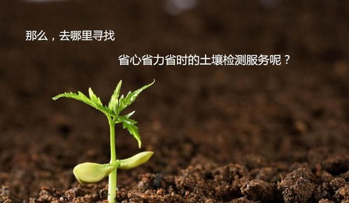 土壤和作物平安吗？