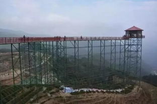 春天来了 月季花墙准备开挂