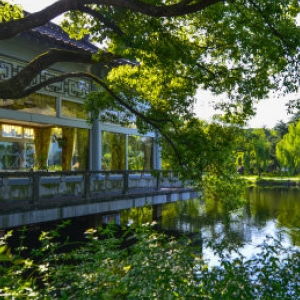 园林景观的先锋：中国园林景观工程公司排名Top1000