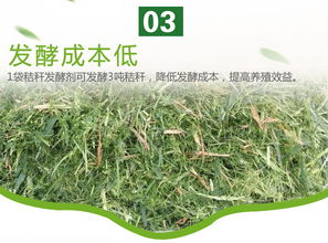 小麦水稻秸秆的消化速度如何，适合作为饲料喂牛羊吗？