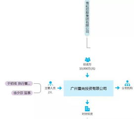 雪松集团业务调整背后的原因解析