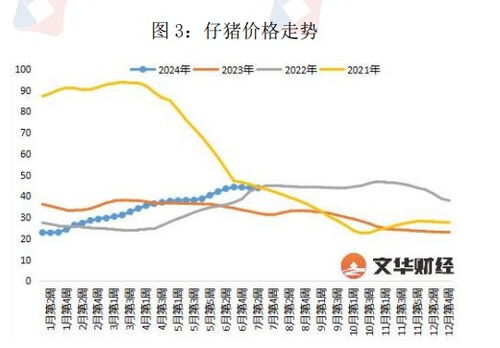 耒阳市今日生猪交易价波动大，养殖户如何根据市场动向调整价格策略？