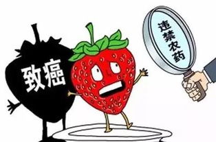 土壤差异， 药害风险