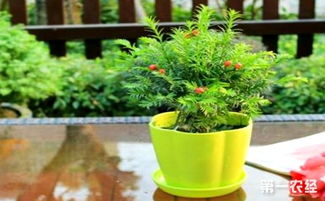 选对季节，种植正当时