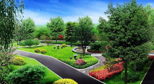 植物大集合， 打造生活美景