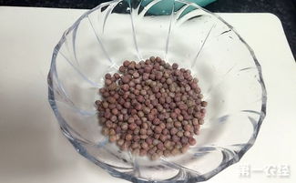 七、种子破壳工具