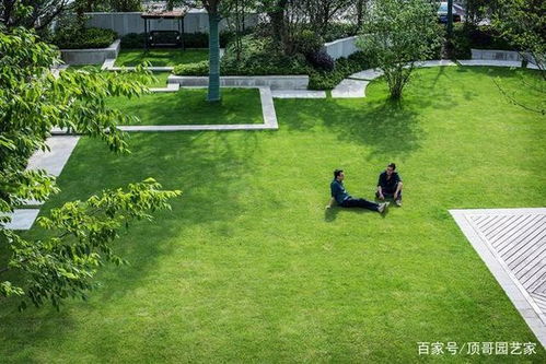 草坪草，那是一片绿